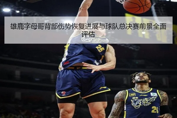 雄鹿字母哥背部伤势恢复进展与球队总决赛前景全面评估